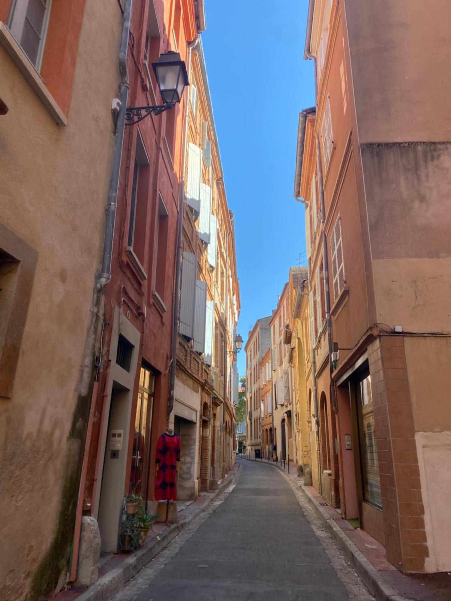 Duplex Aux Carmes Leilighet Toulouse Eksteriør bilde